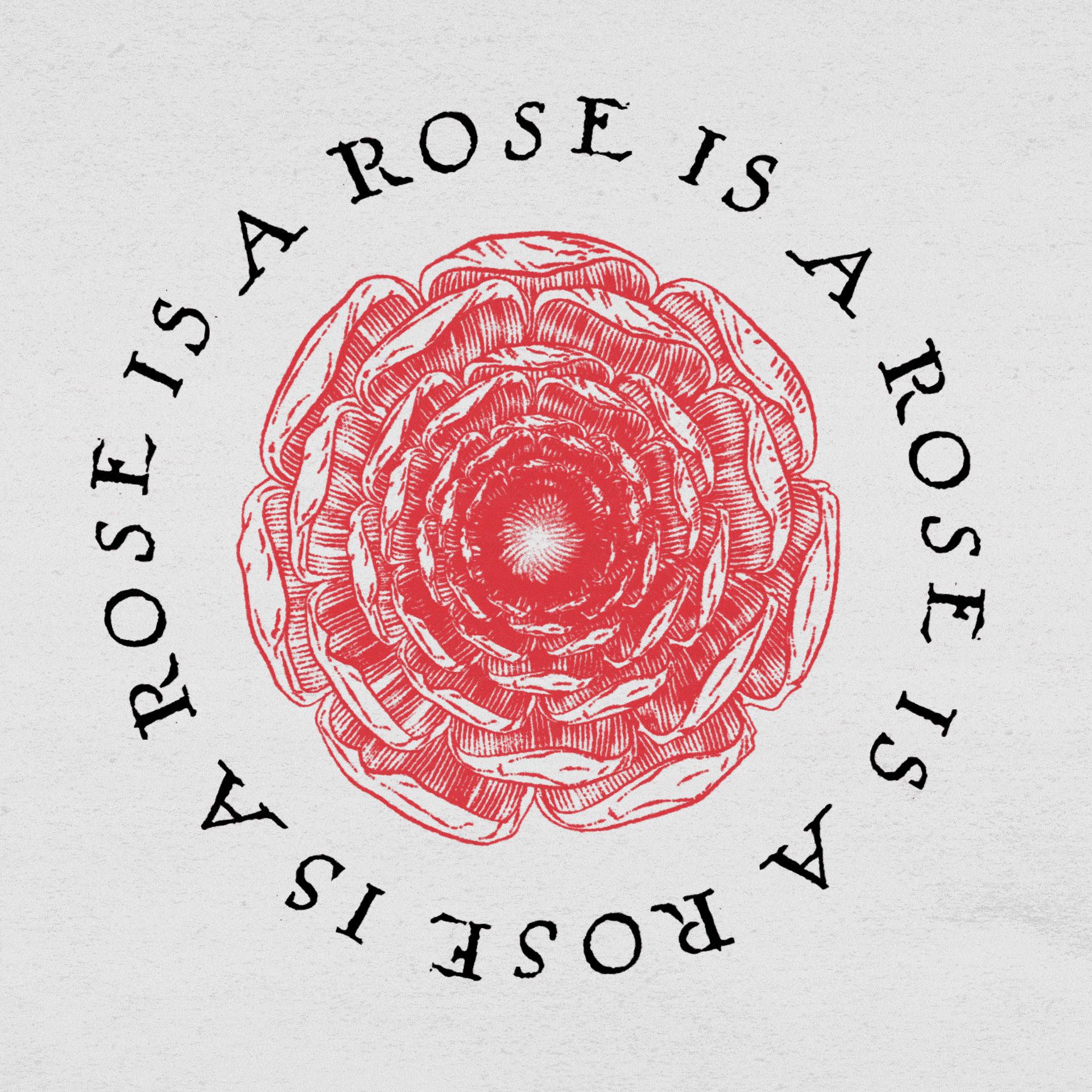 A Rose Is A Rose