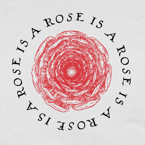 Rubedox: Una rosa es una rosa (2022)  De la serie Movimiento Perpetuo.