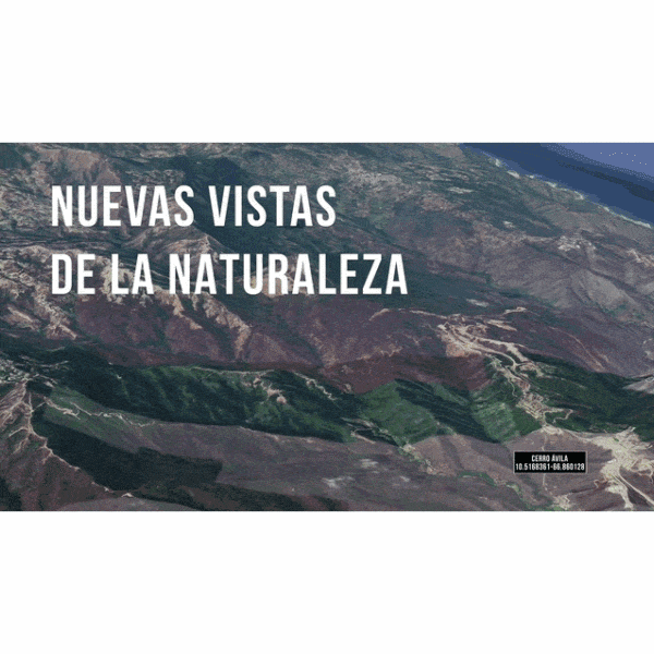 Nuevas Vistas de la Naturaleza (2019) ​